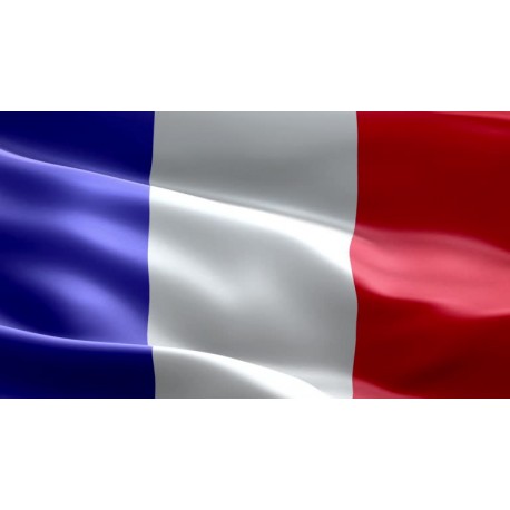 ( 30 Days ) France Smtp Server - Spf, Dkim, Dmarc Configured ( New Domain - Private & IP Clear )