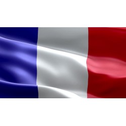 ( 30 Days ) France Smtp Server - Spf, Dkim, Dmarc Configured ( New Domain - Private & IP Clear )