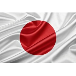 JAPAN ( 30 Days ) 4G RAM RDP Admin Port 25 Open ( Ip Clear )