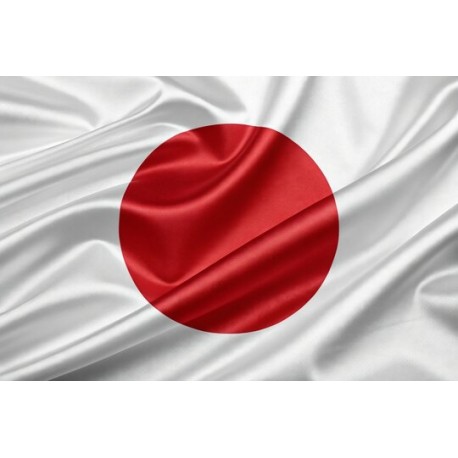 JAPAN ( 30 Days ) 4G RAM RDP Admin Port 25 Open ( Ip Clear )