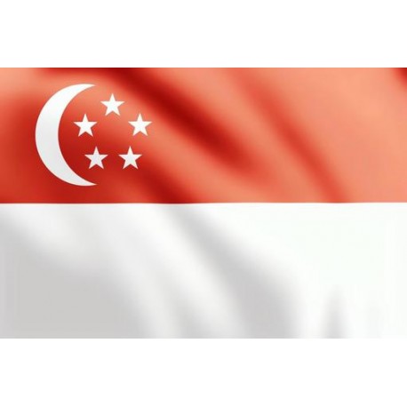 10 ( 30 Days ) Unlimited Singapore Smtp Server - Spf, Dkim, Dmarc Configured ( New Domain - Private & IP Clear )