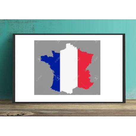 FRANCE RDP ADMINISTRATOR ( 2 GB RAM - 30 DAYS )