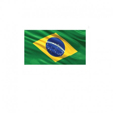 1,000,000 Brazil  - RAW BUSINESS Domain EMAILS [ 2022 Updated ]