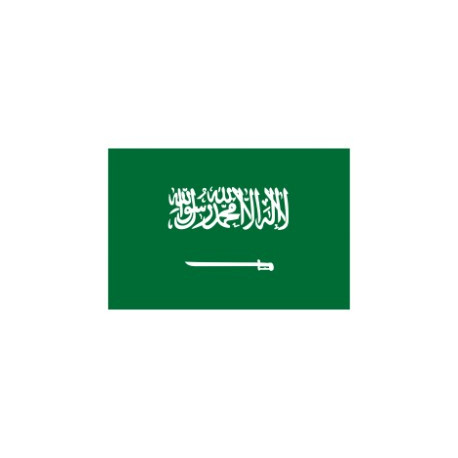 Saudi Arabia RDP - Cloud RDP - Riyadh ( Saudi Arabia )