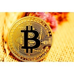 10$ BITCOIN ( BTC )